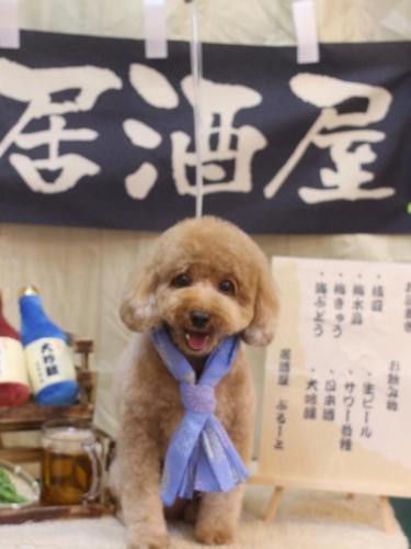 20240630コアくん